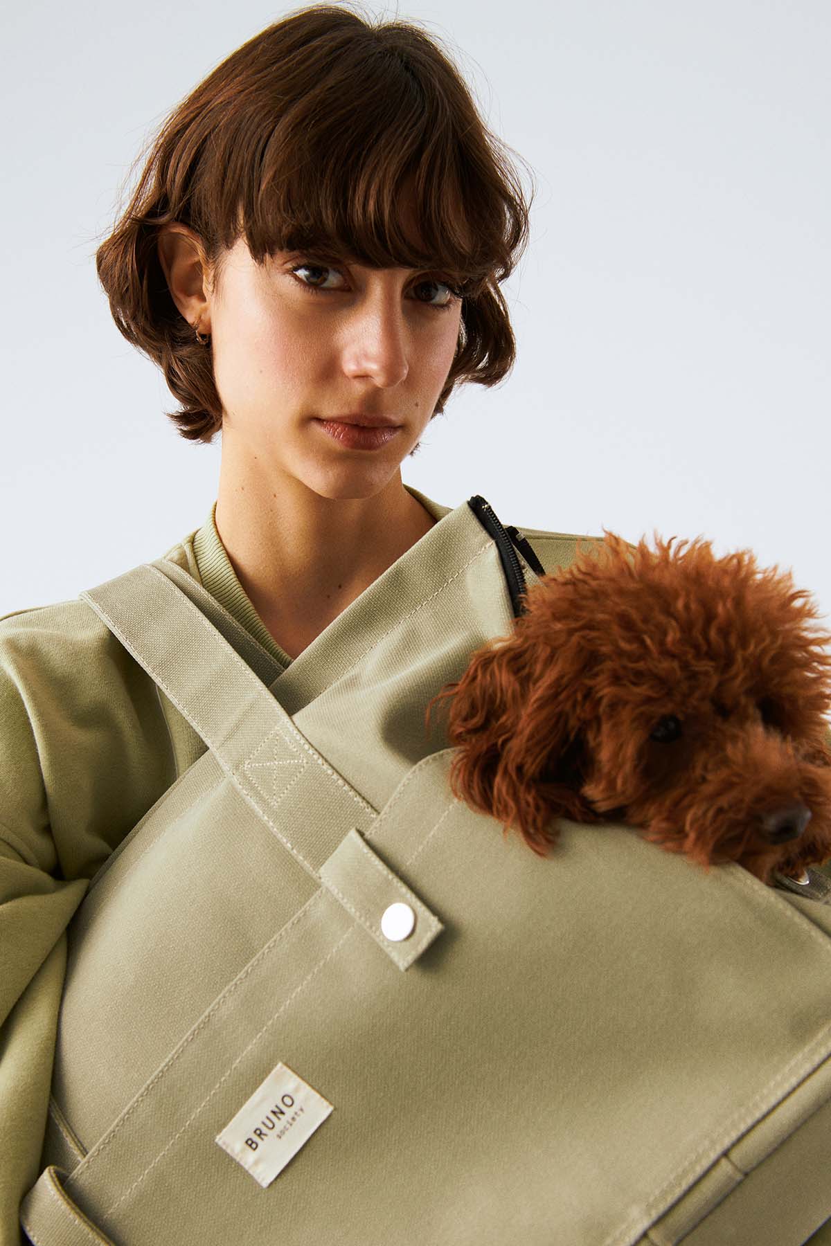 Köpek Taşıma Çantası - Sis Yeşili - Bruno Society