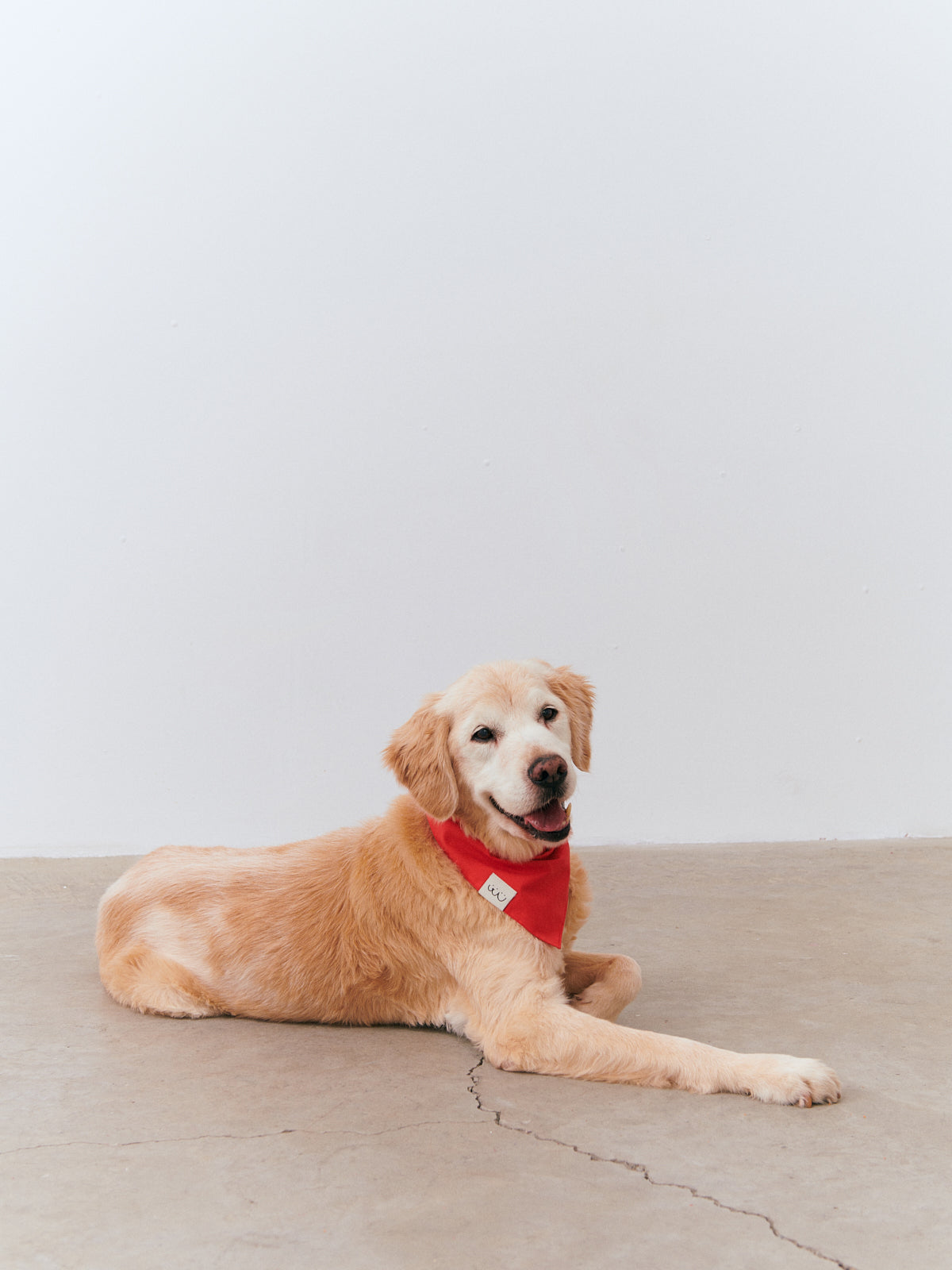 Bandana - Red