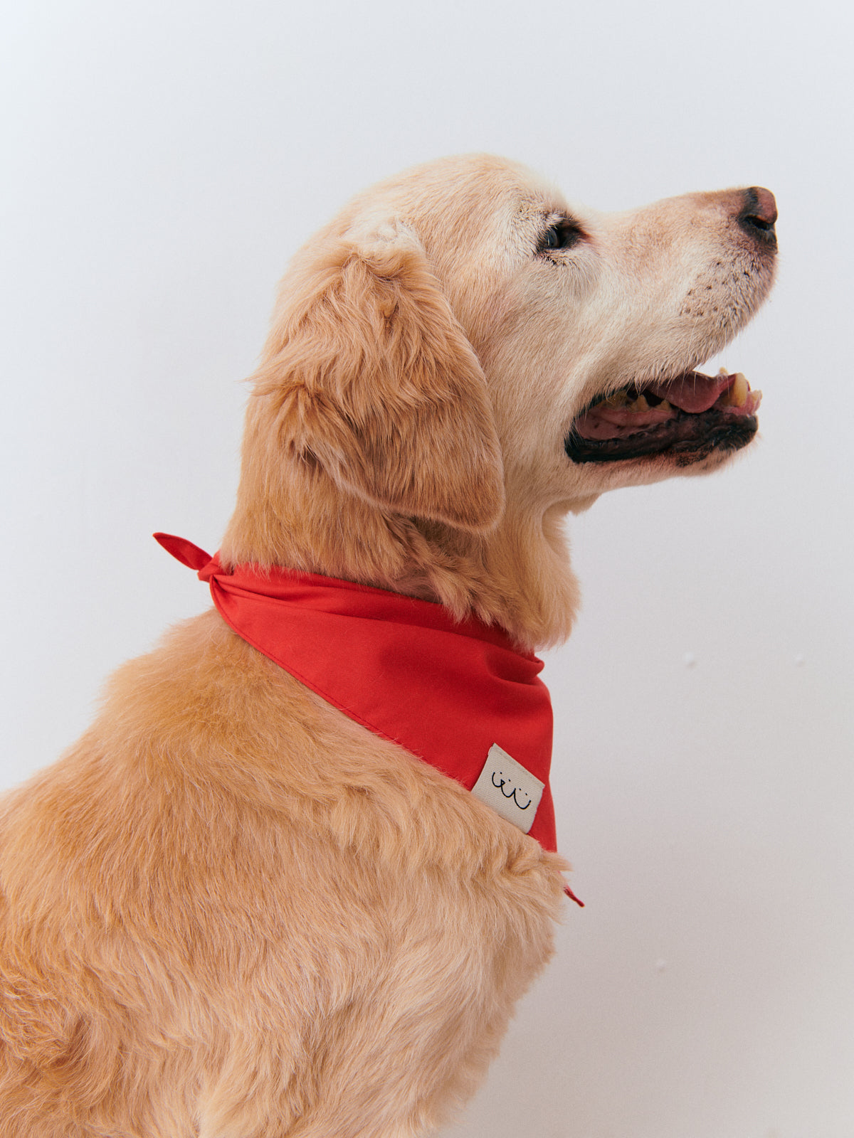 Bandana - Red