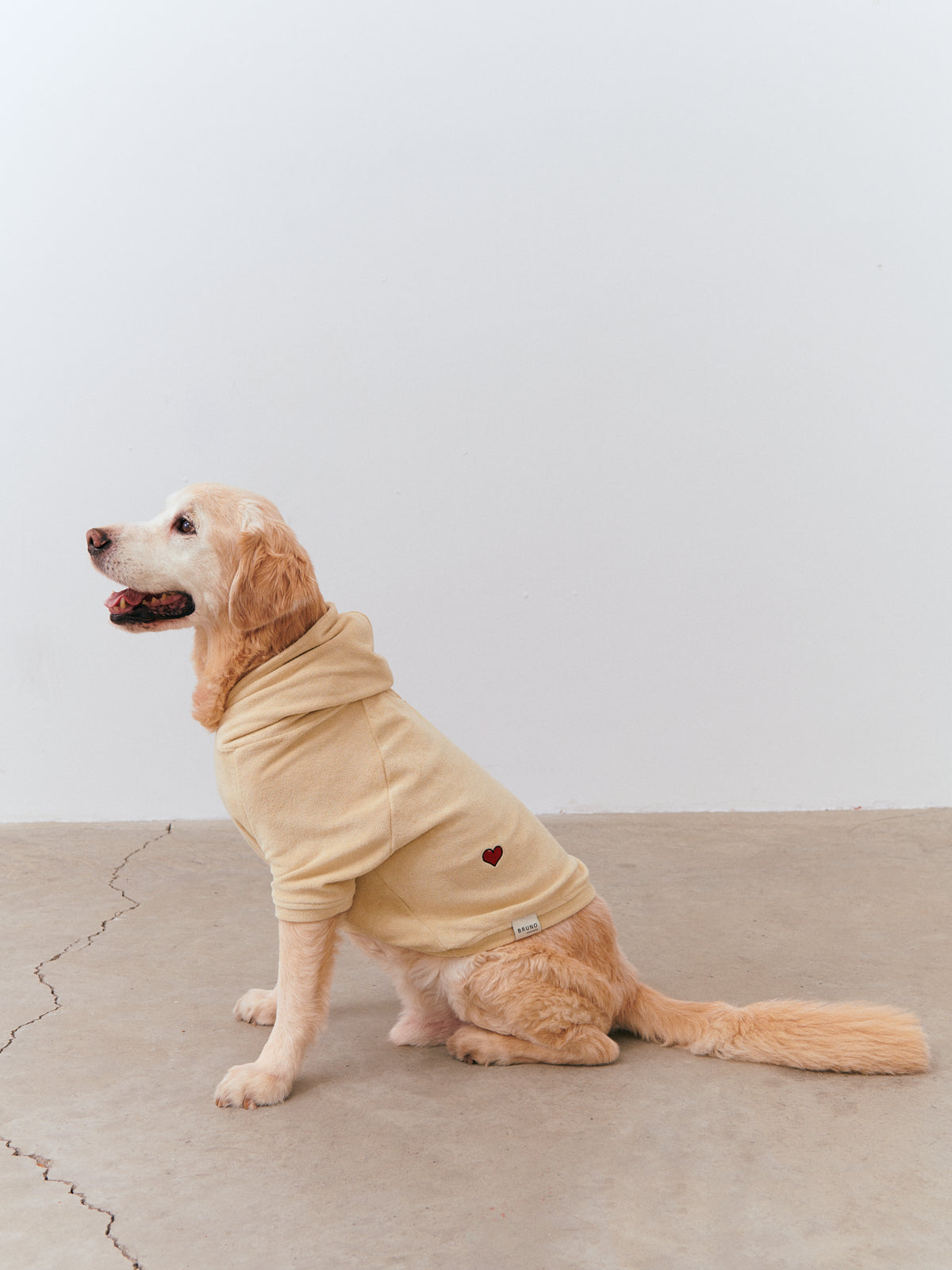 Organic Towel Hoodie - Beige