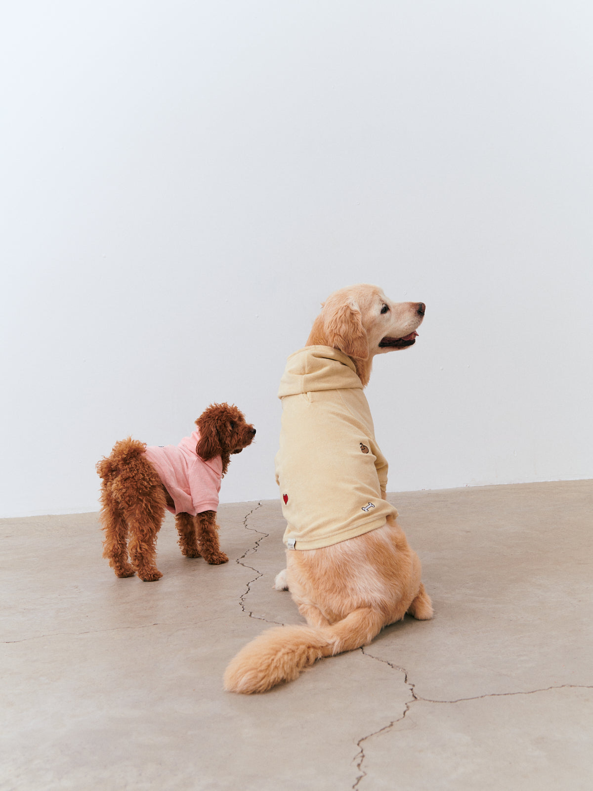 Organic Towel Hoodie - Beige