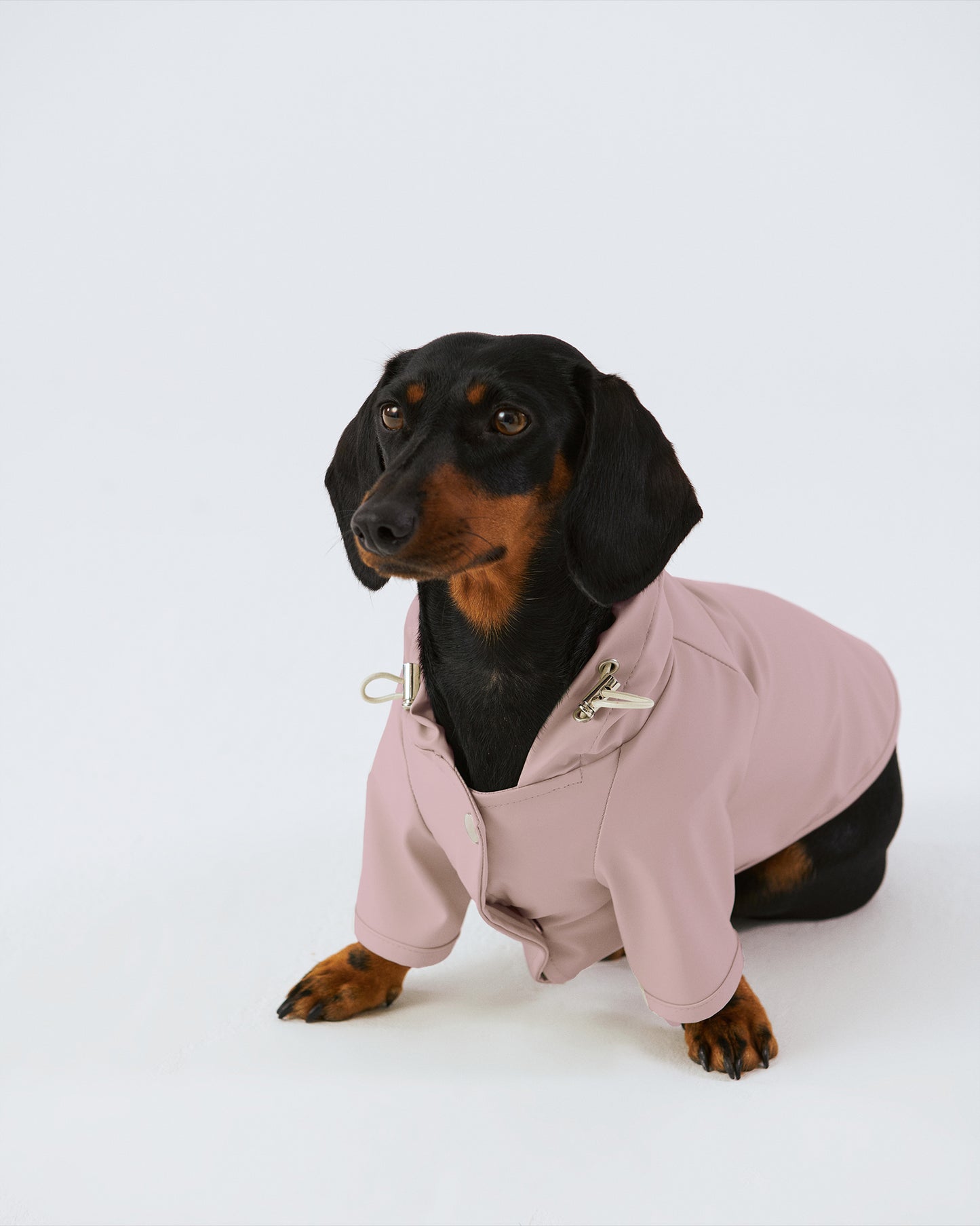 Dog Raincoat - Pink