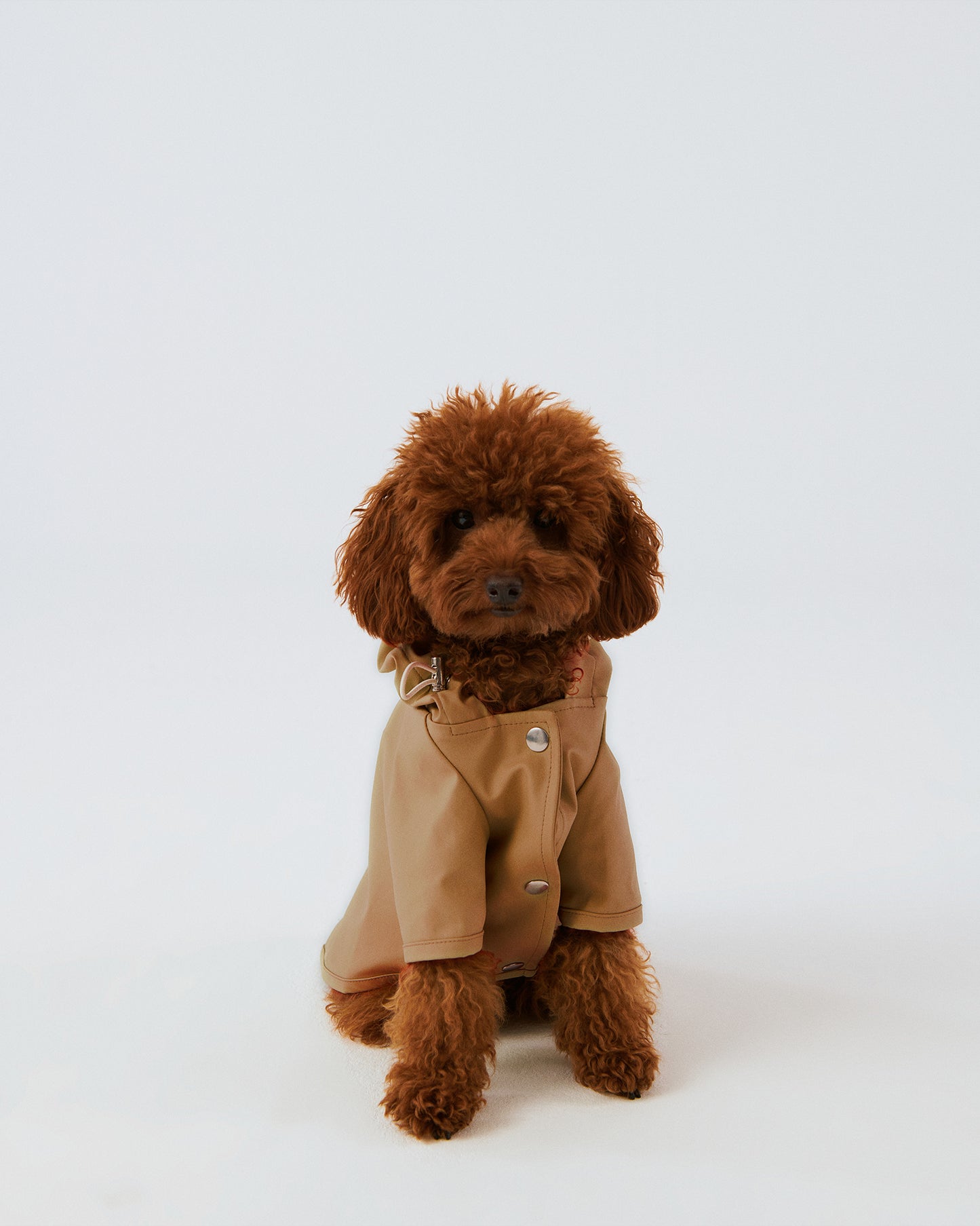 Köpek Yağmurluk - Cinnamon
