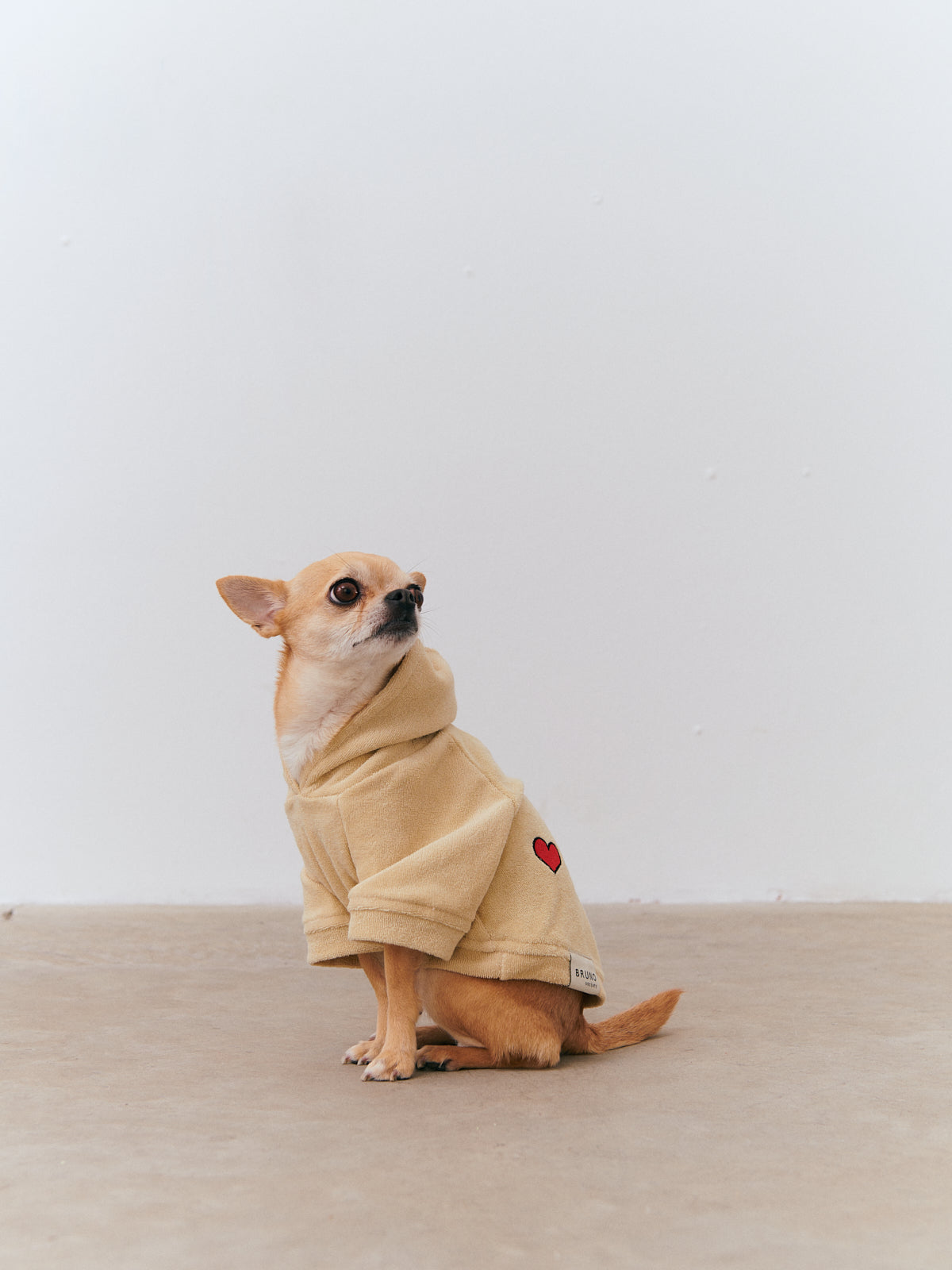 Organic Towel Hoodie - Beige