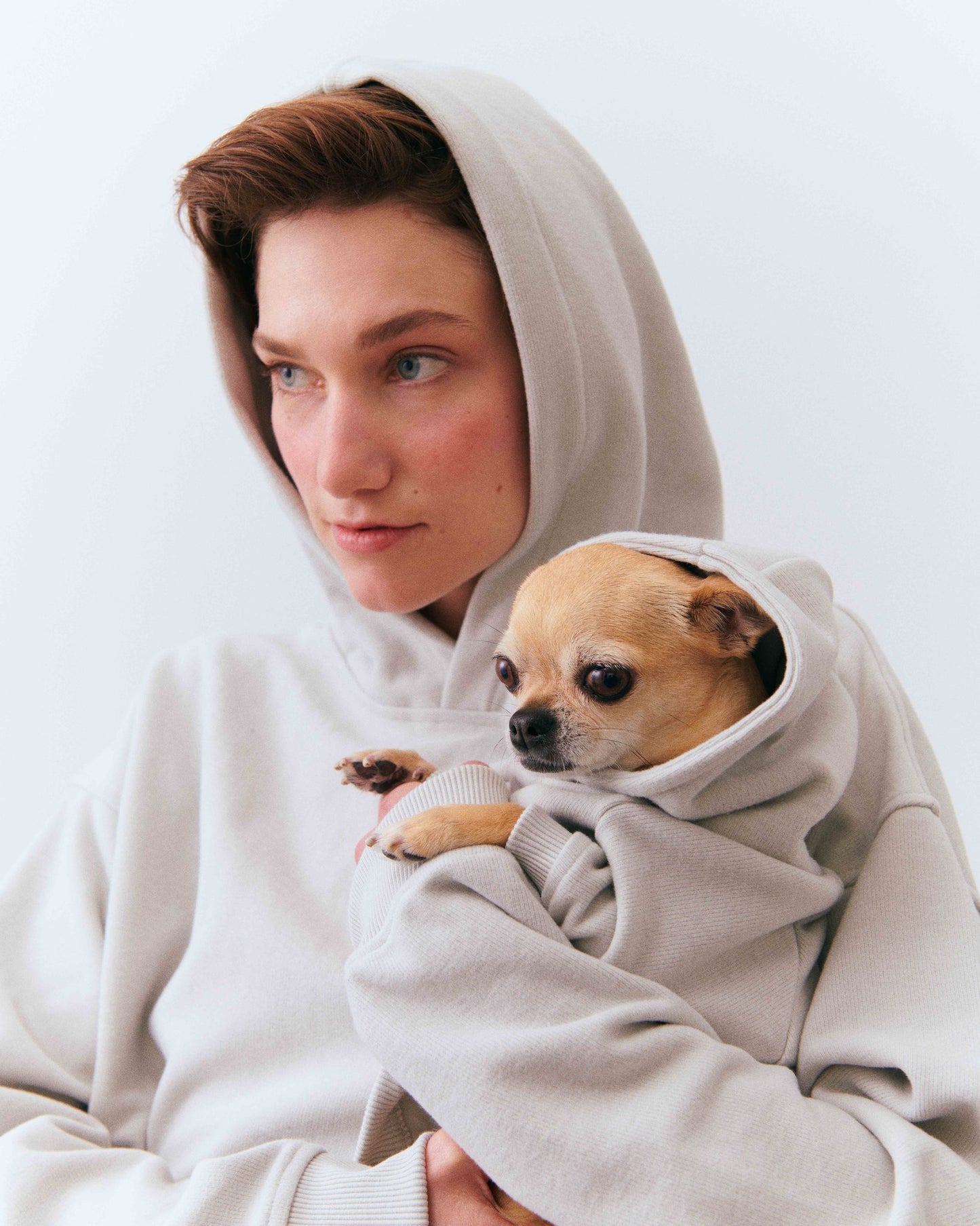 Bulldog Köpek Hoodie - Gri