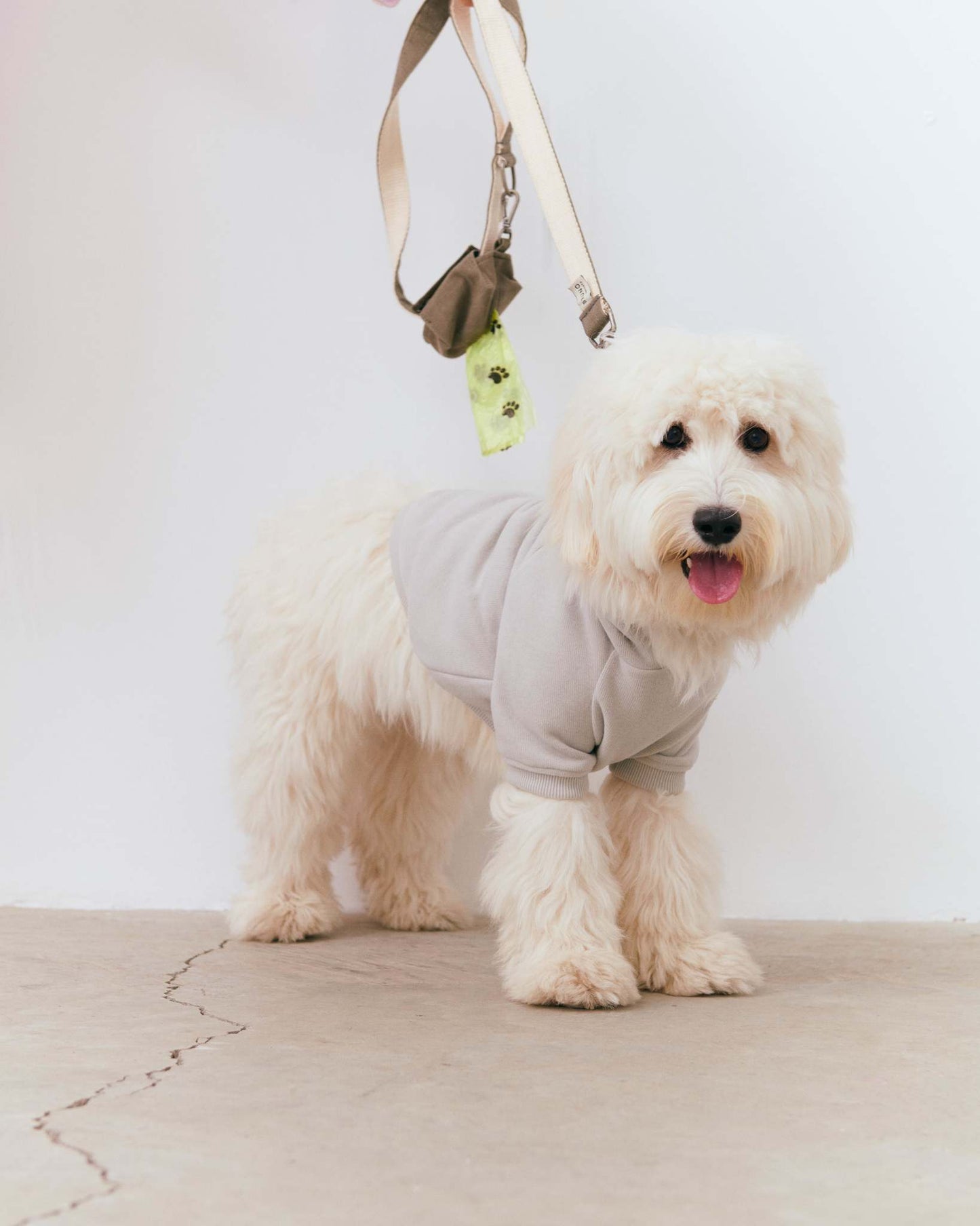 Bulldog Köpek Hoodie - Gri