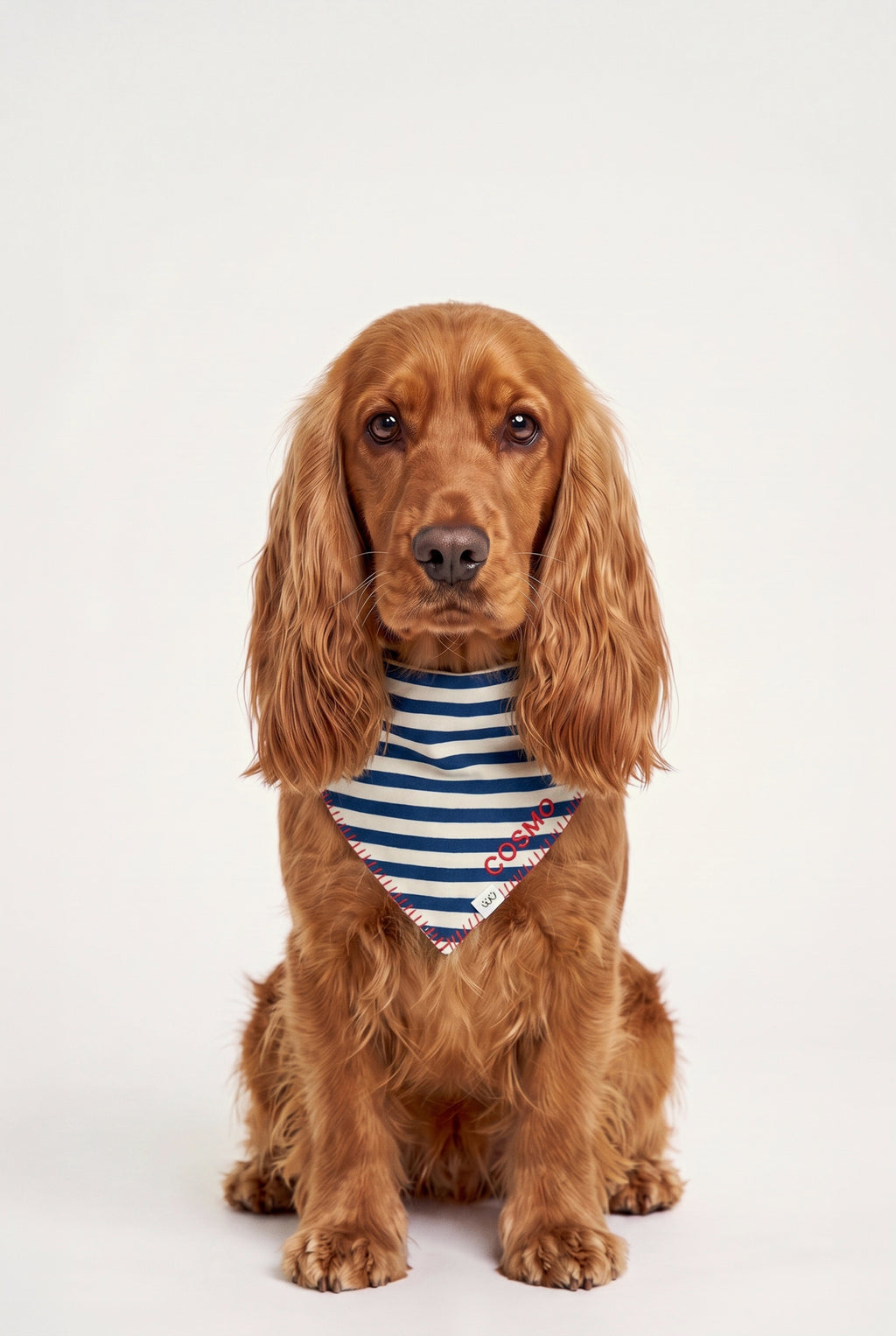 Pool Side - Kişiselleştirilebilir Bandana - Köpek