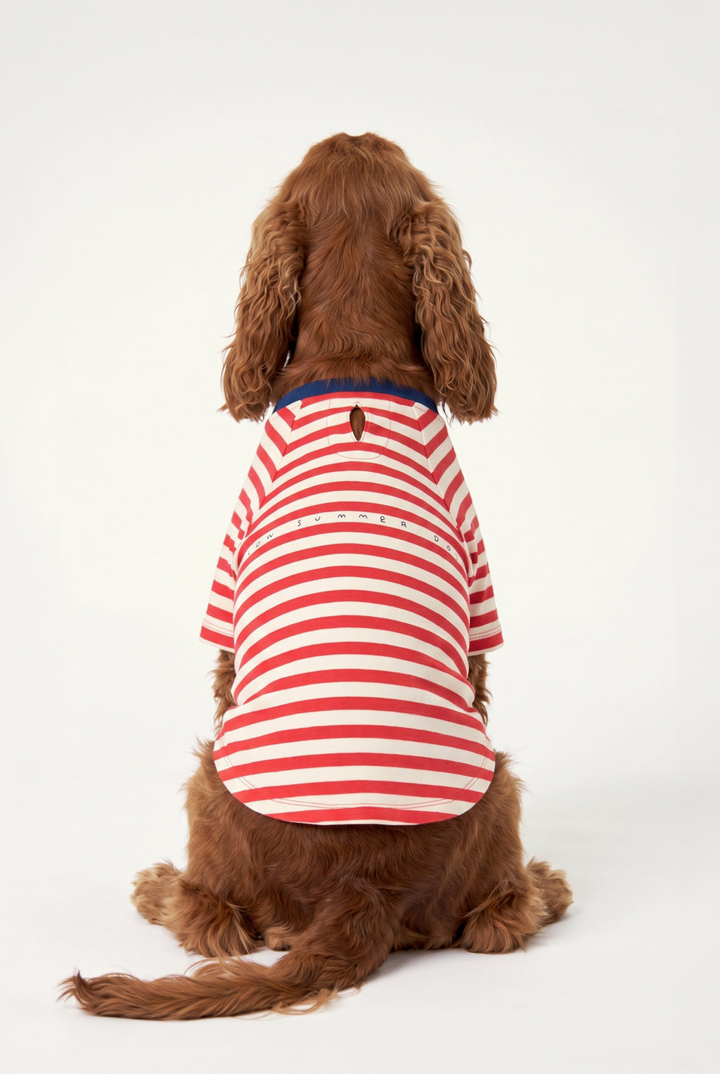 Slow Summer Sands - Çizgili Jersey Tişört - Köpek