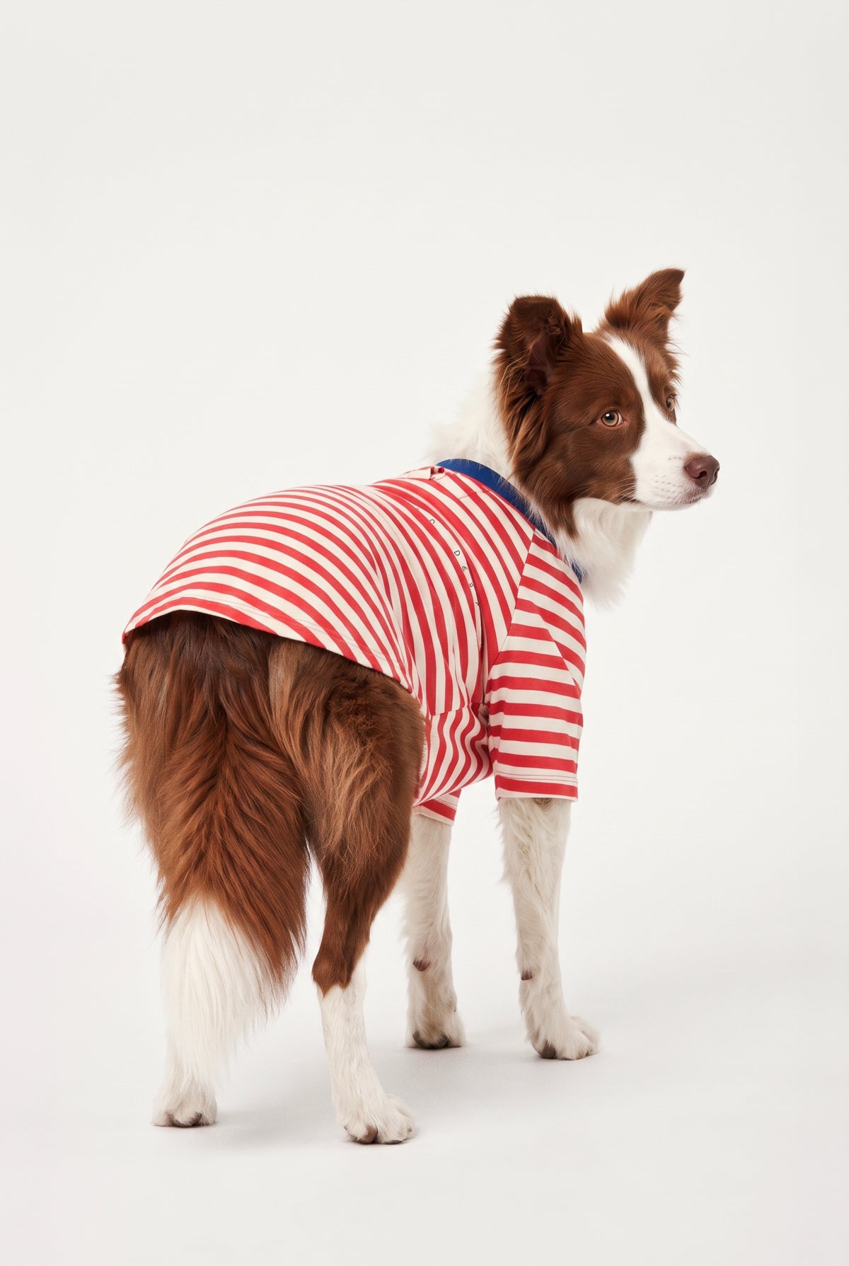 A Bunch of Sun - Çizgili Jersey Tişört - Köpek