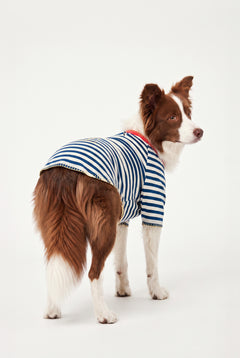 Sea Side - Çizgili Jersey Tişört - Köpek