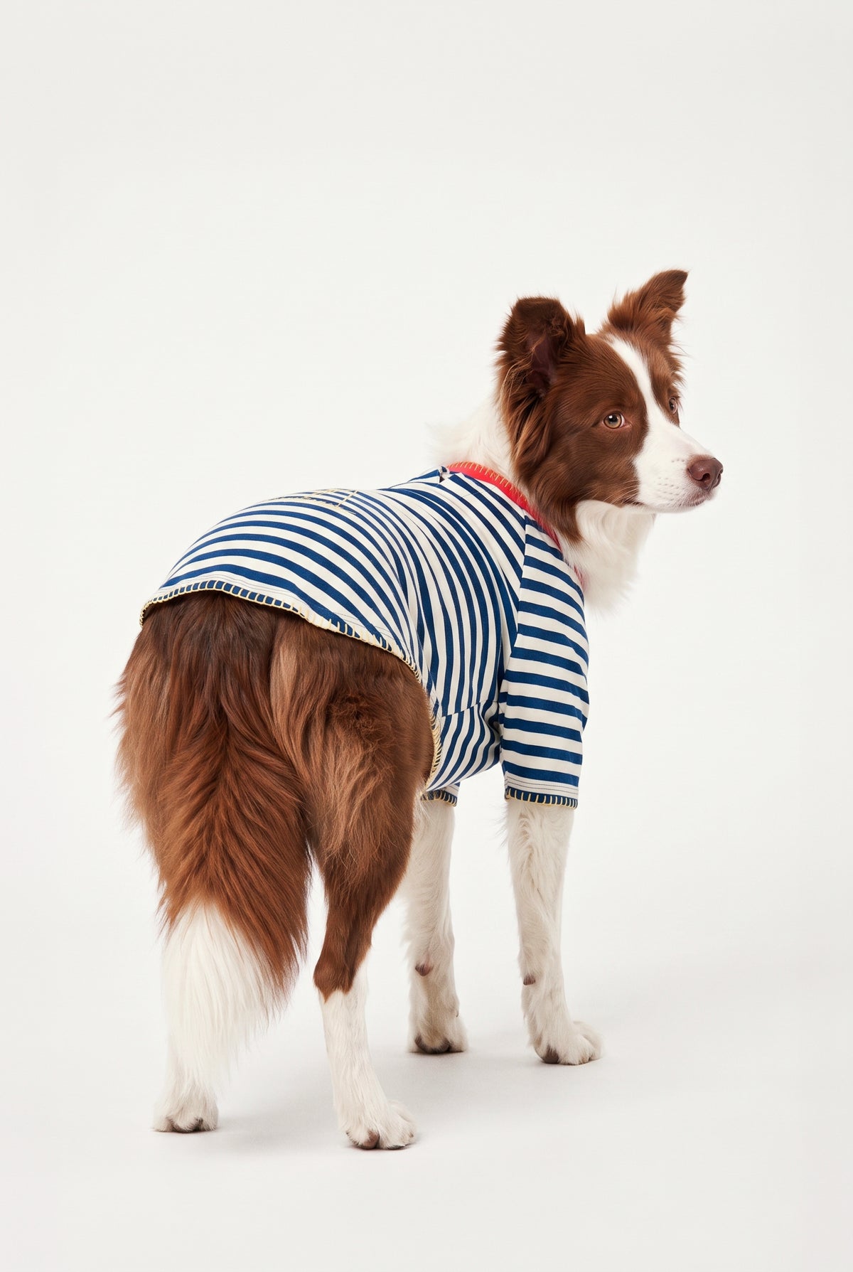 Sea Side - Çizgili Jersey Tişört - Köpek