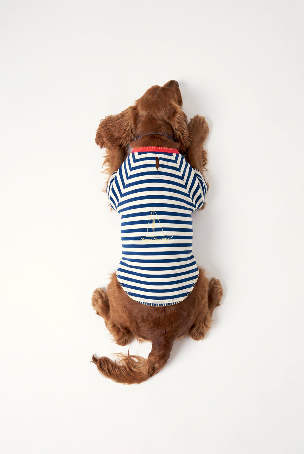 Sea Side - Çizgili Jersey Tişört - Köpek