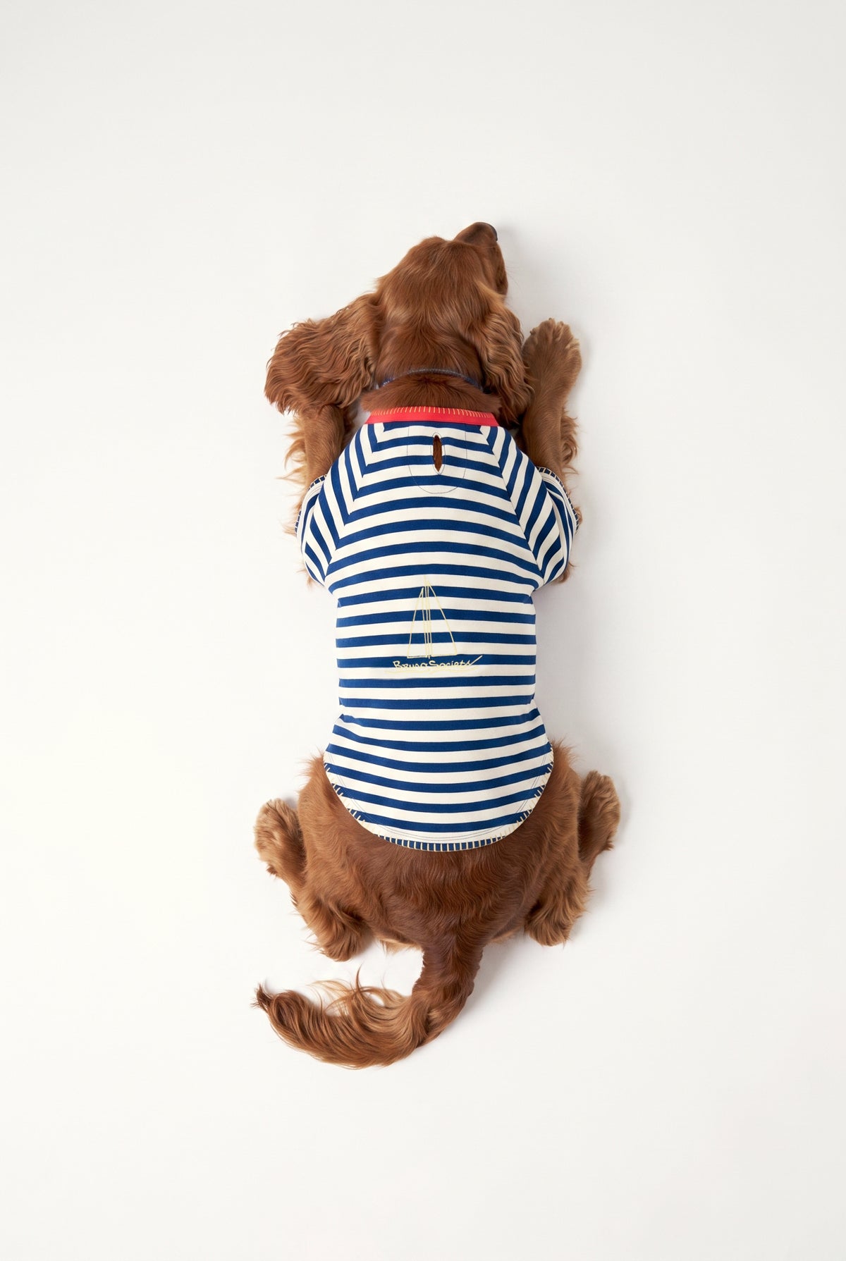 Sea Side - Çizgili Jersey Tişört - Köpek