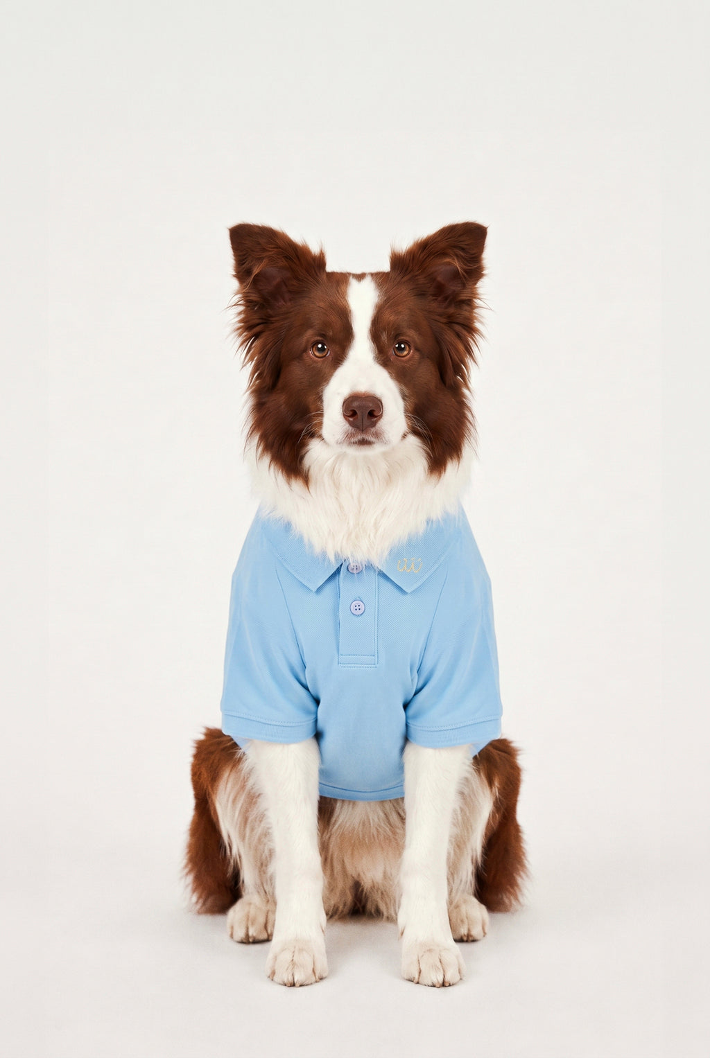 Summer Society Polo - Açık Mavi - Köpek