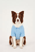 Summer Society Polo - Açık Mavi - Köpek