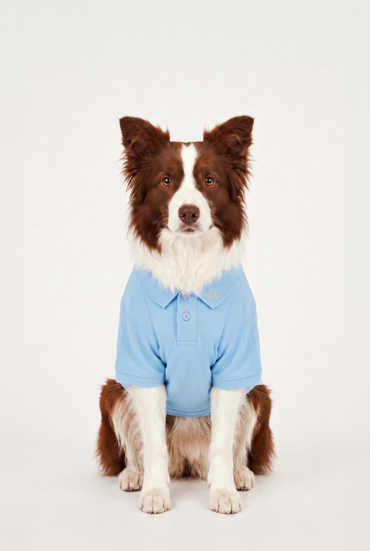 Summer Society Polo - Açık Mavi - Köpek