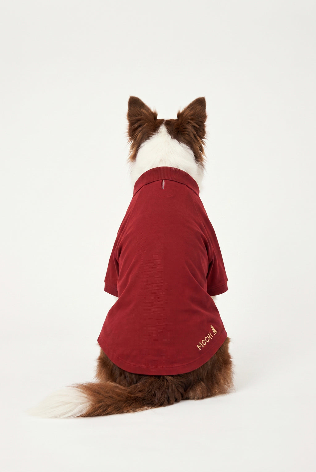 Summer Society Polo - Bordo - Köpek