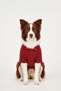 Summer Society Polo - Bordo - Köpek