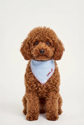 Coast - Kişiselleştirilebilir Bandana - Köpek