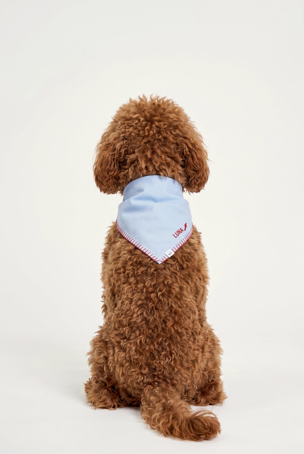 Coast - Kişiselleştirilebilir Bandana - Köpek