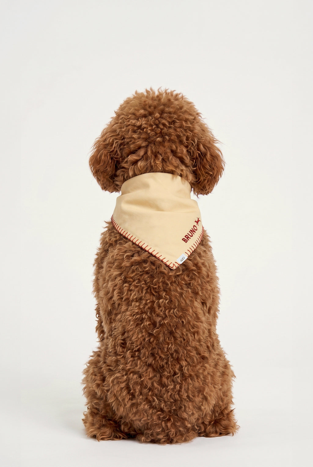 Sand - Kişiselleştirilebilir Bandana - Köpek