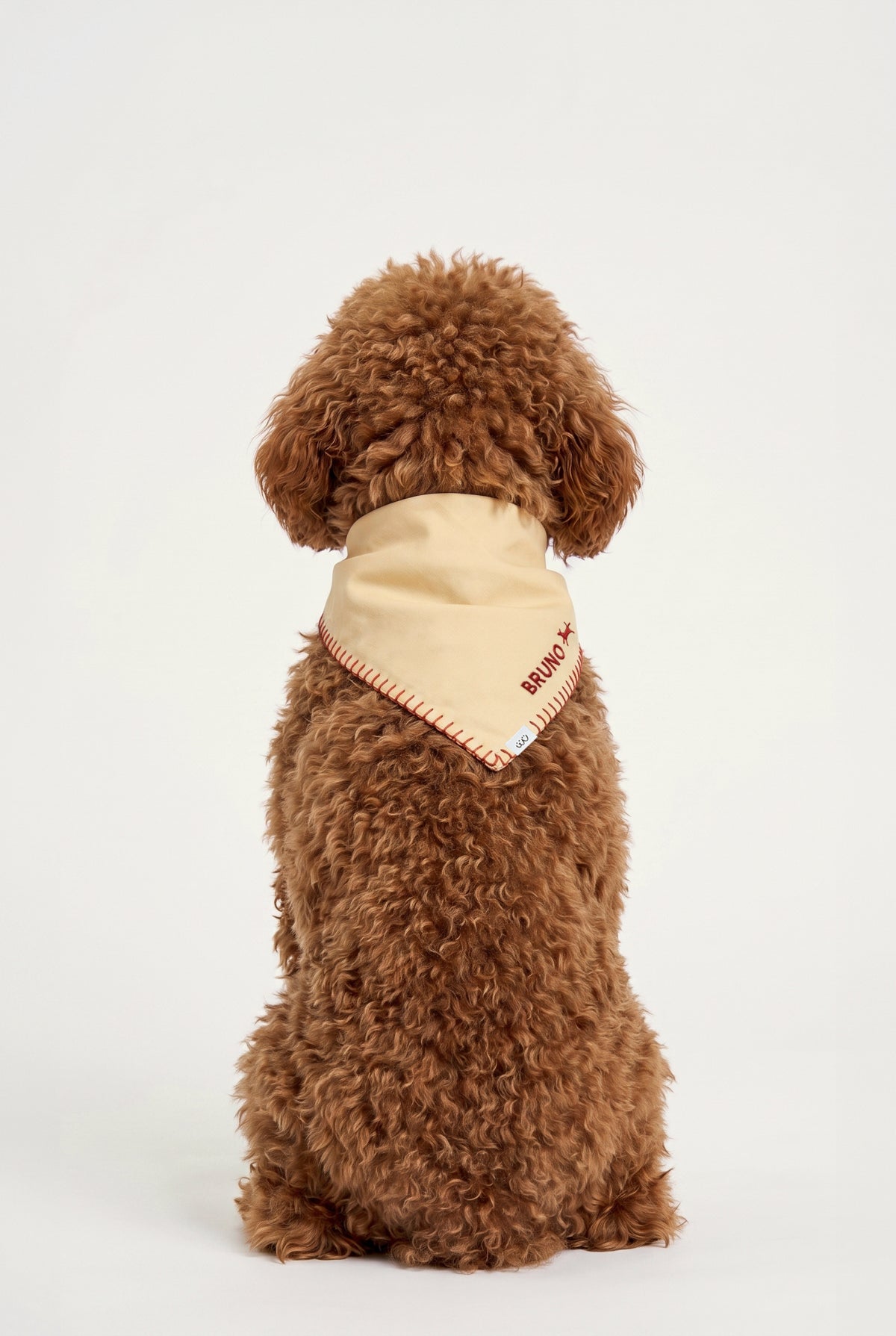 Sand - Kişiselleştirilebilir Bandana - Köpek