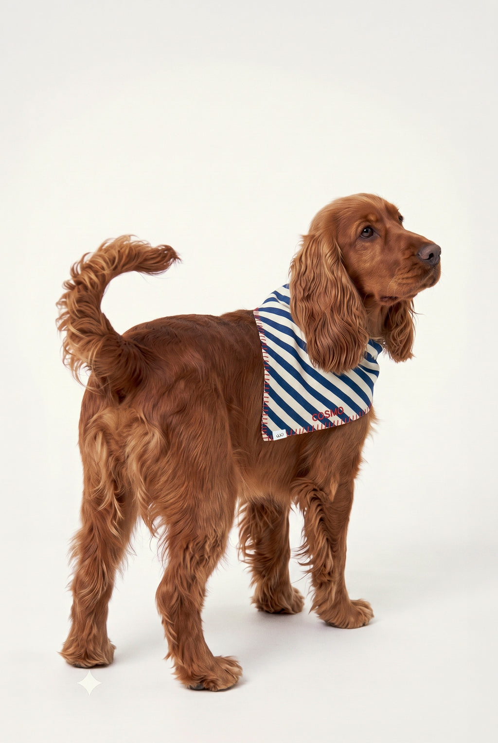 Pool Side - Kişiselleştirilebilir Bandana - Köpek