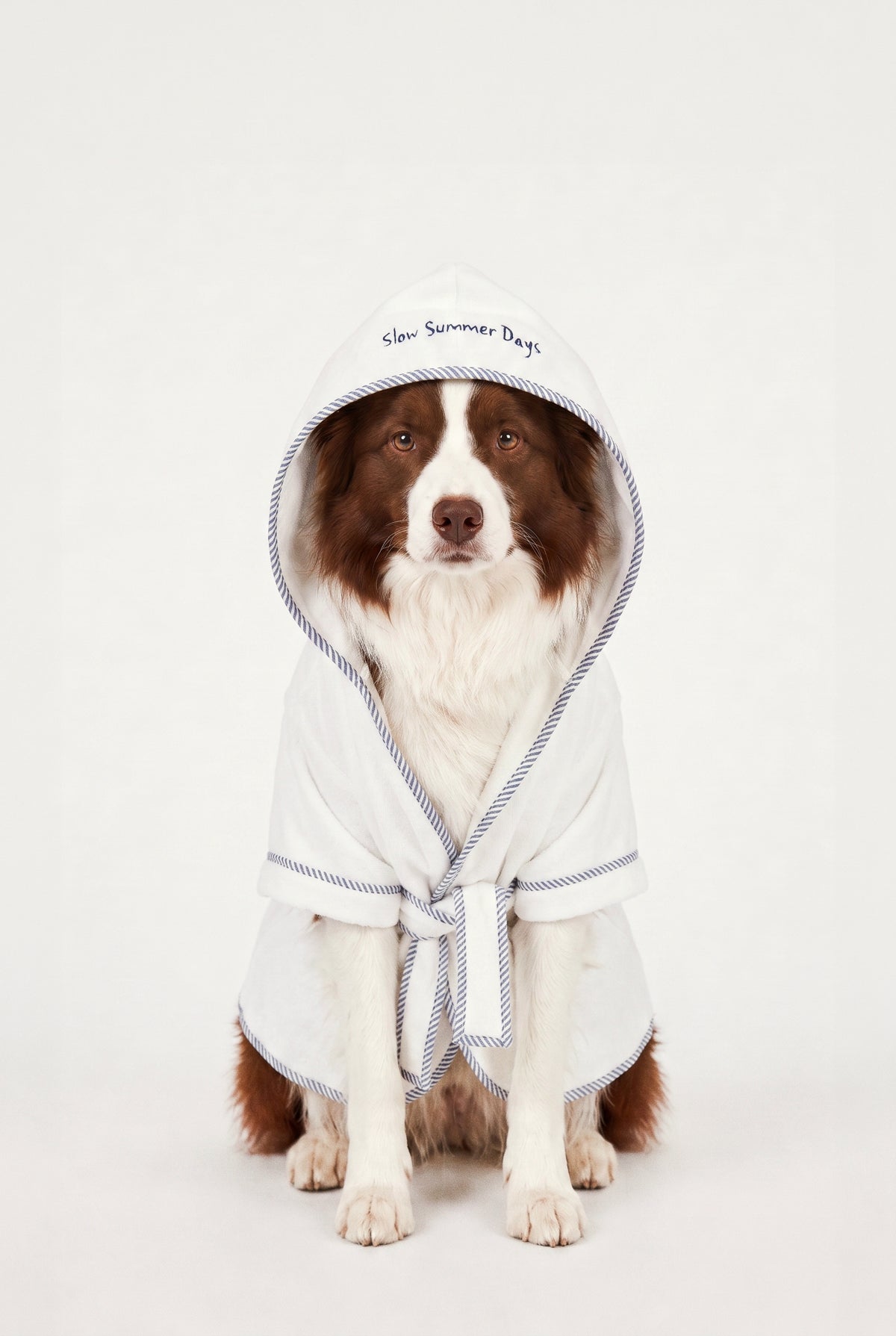 Sea Side - Terry Bornoz - Köpek
