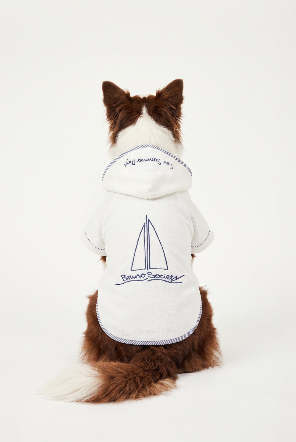 Sea Side - Terry Bornoz - Köpek