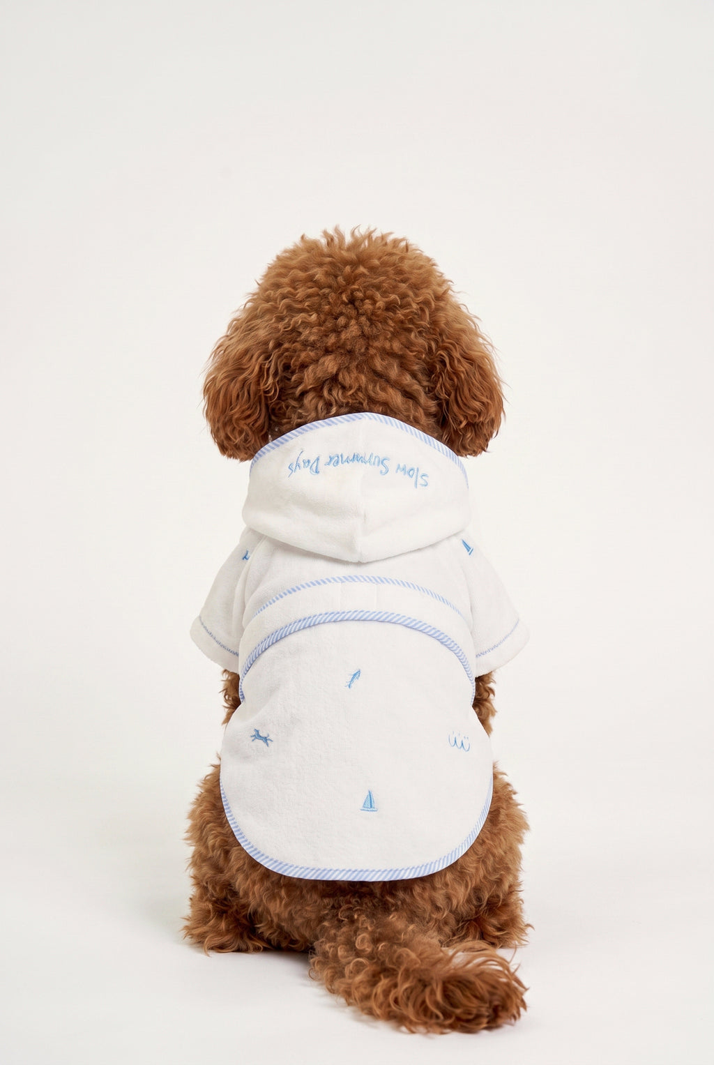 Coastal - Terry Bornoz - Köpek