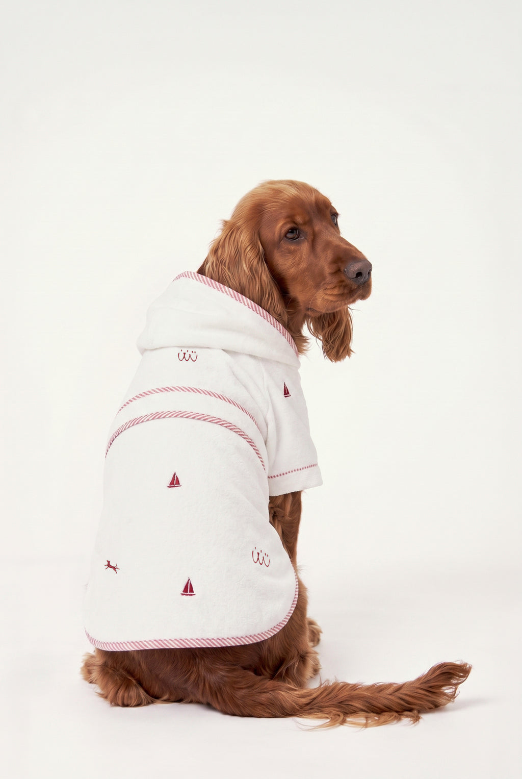 Veranda - Terry Bornoz - Köpek