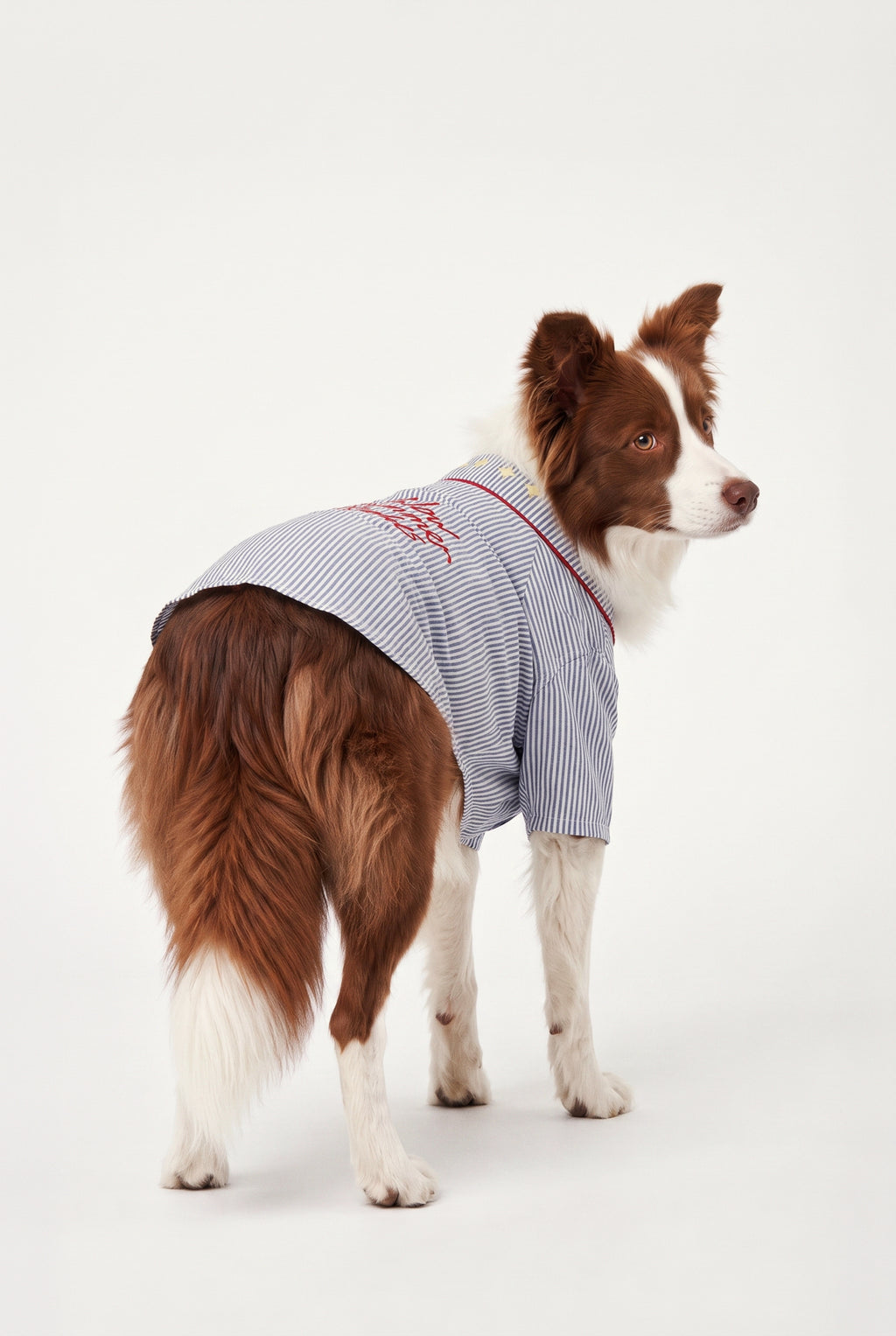 Blue Hour Walk - Pijama - Köpek