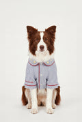 Blue Hour Walk - Pijama - Köpek