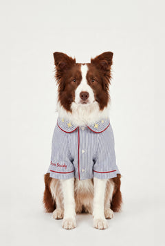 Blue Hour Walk - Pijama - Köpek