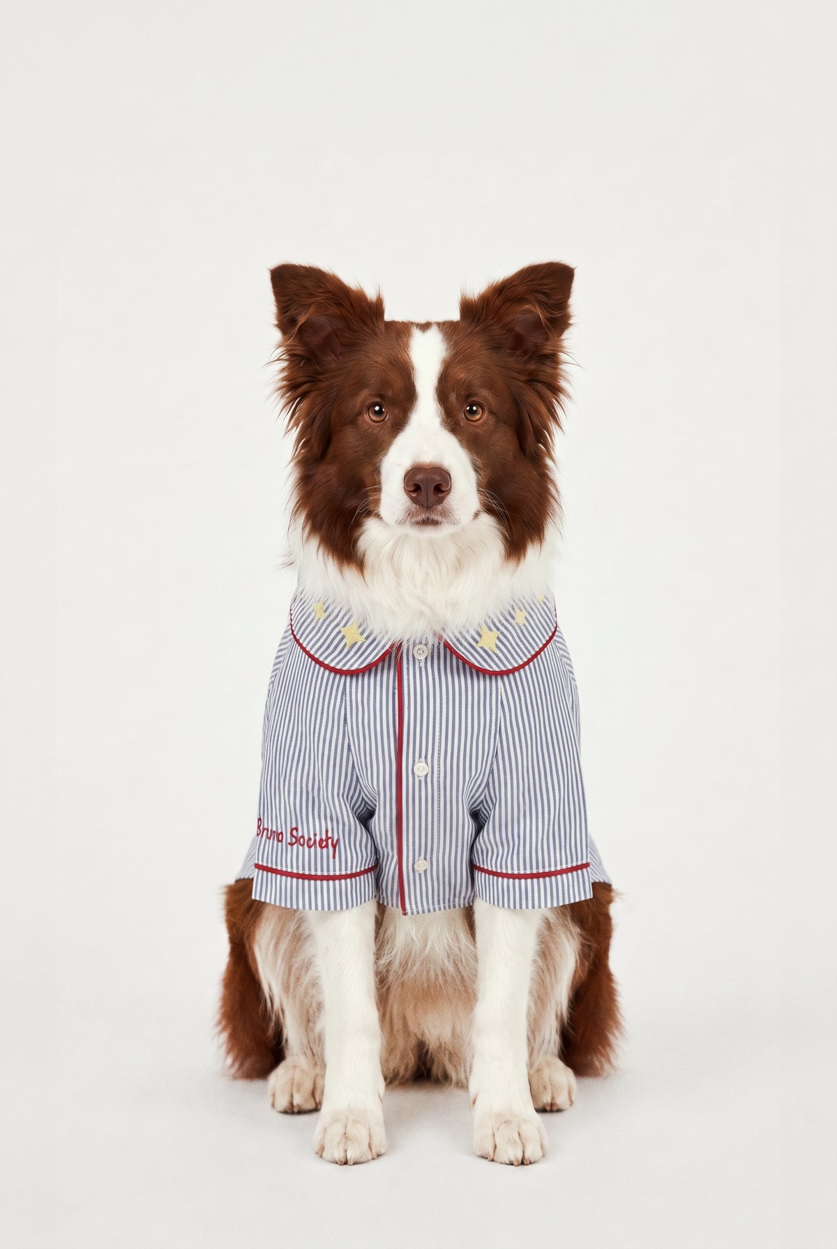 Blue Hour Walk - Pijama - Köpek