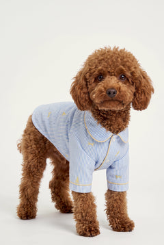 Coastal - Pijama - Köpek