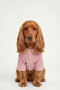 Veranda - Pijama - Köpek