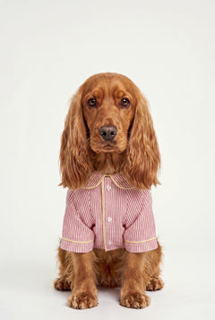 Veranda - Pijama - Köpek