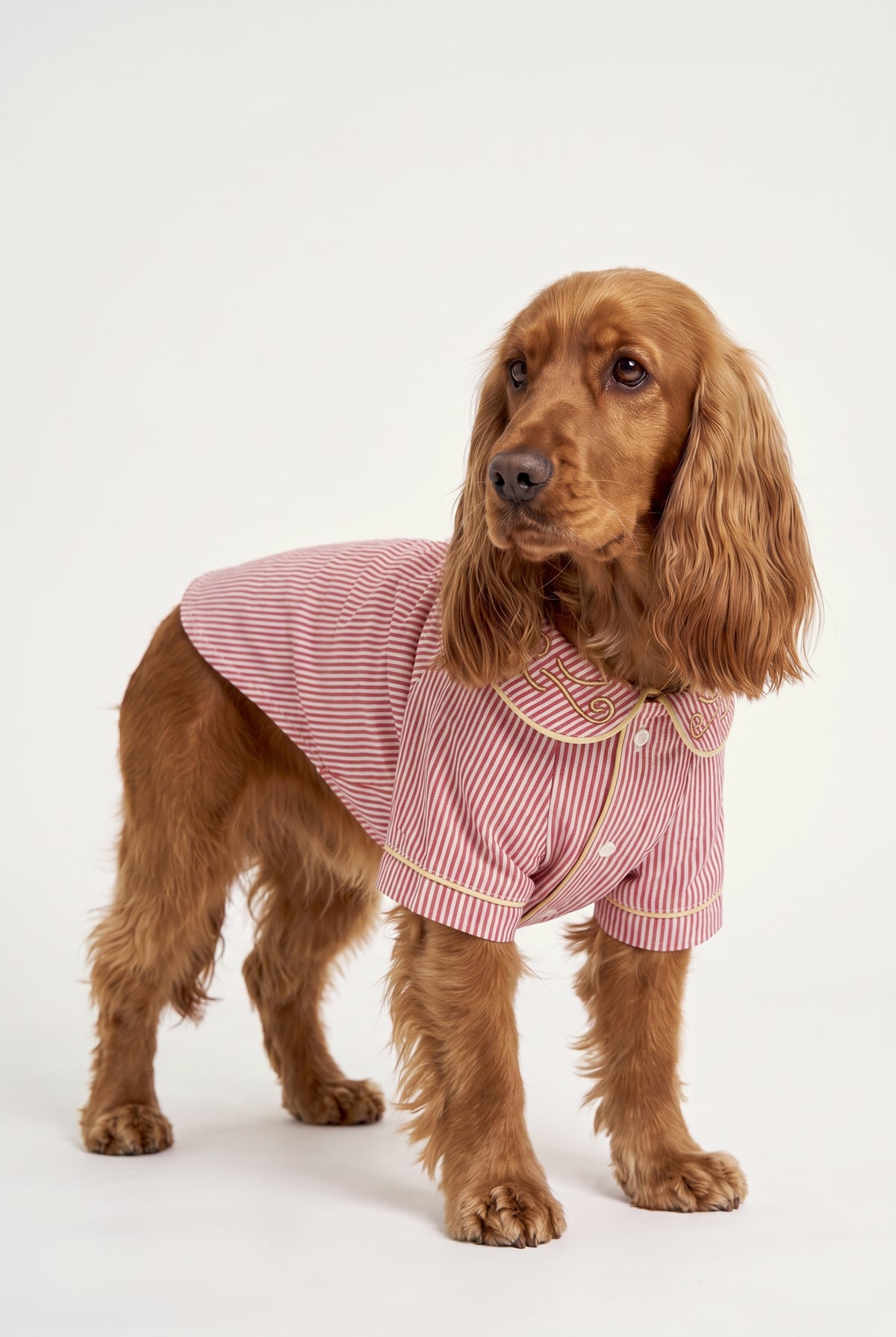 Veranda - Pijama - Köpek