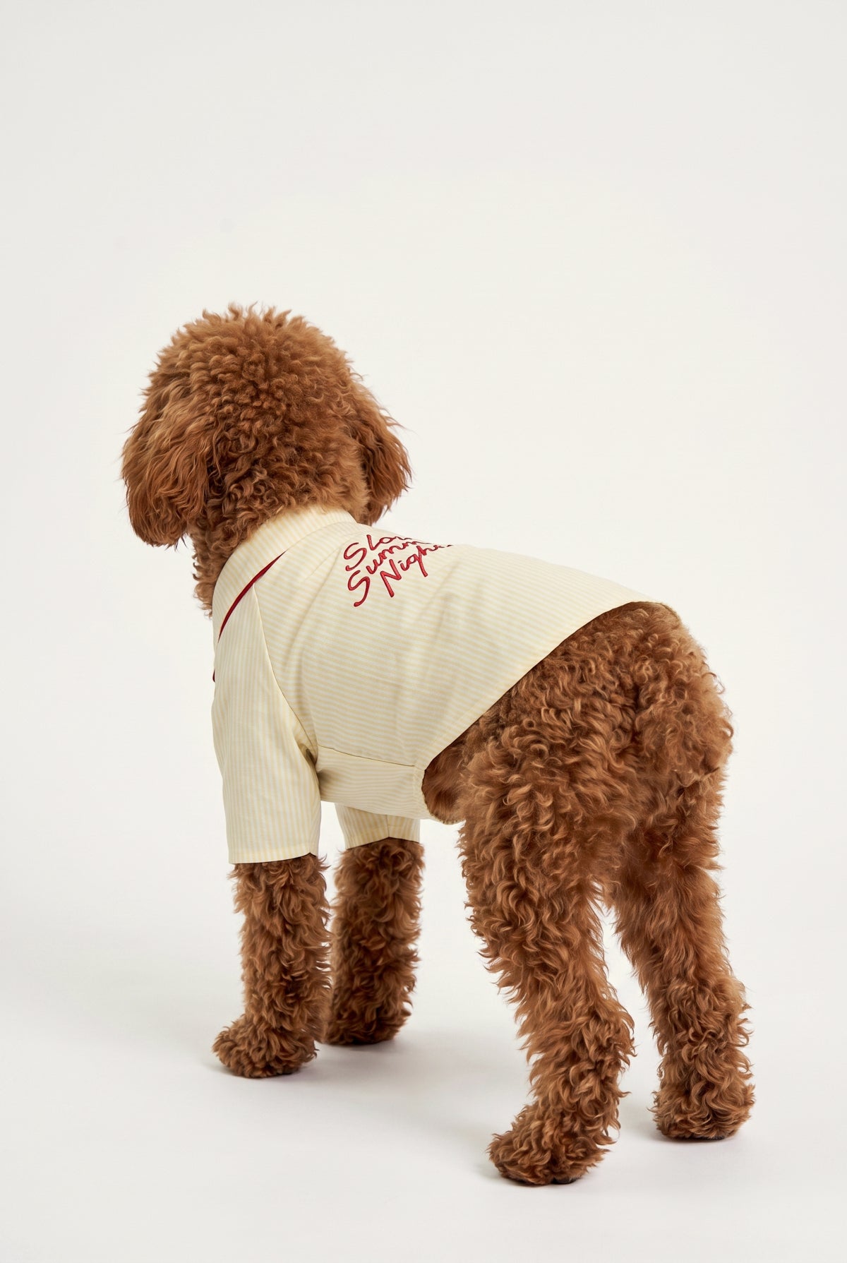 Sun Burn - Pijama - Köpek