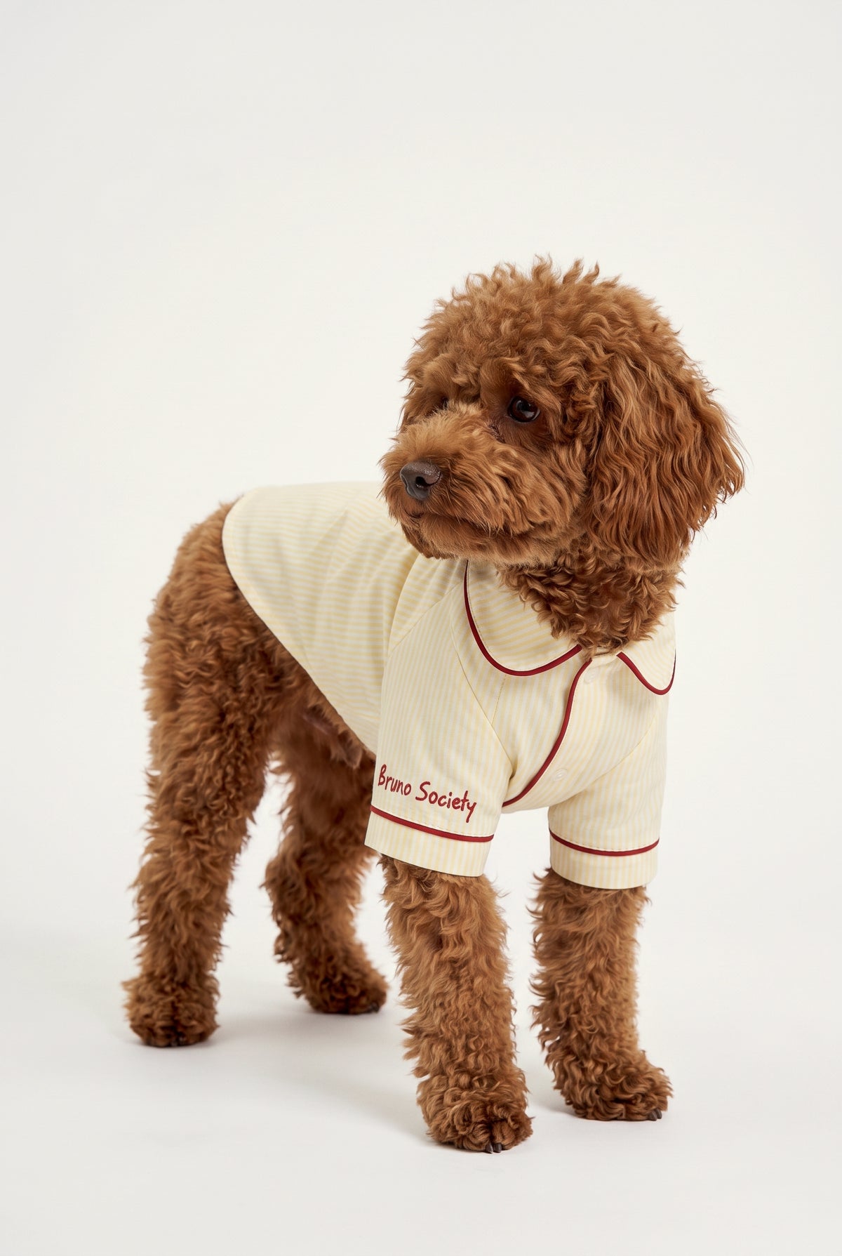 Sun Burn - Pijama - Köpek