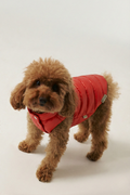 Bruno Classic Puffer Mont - Cherry Red