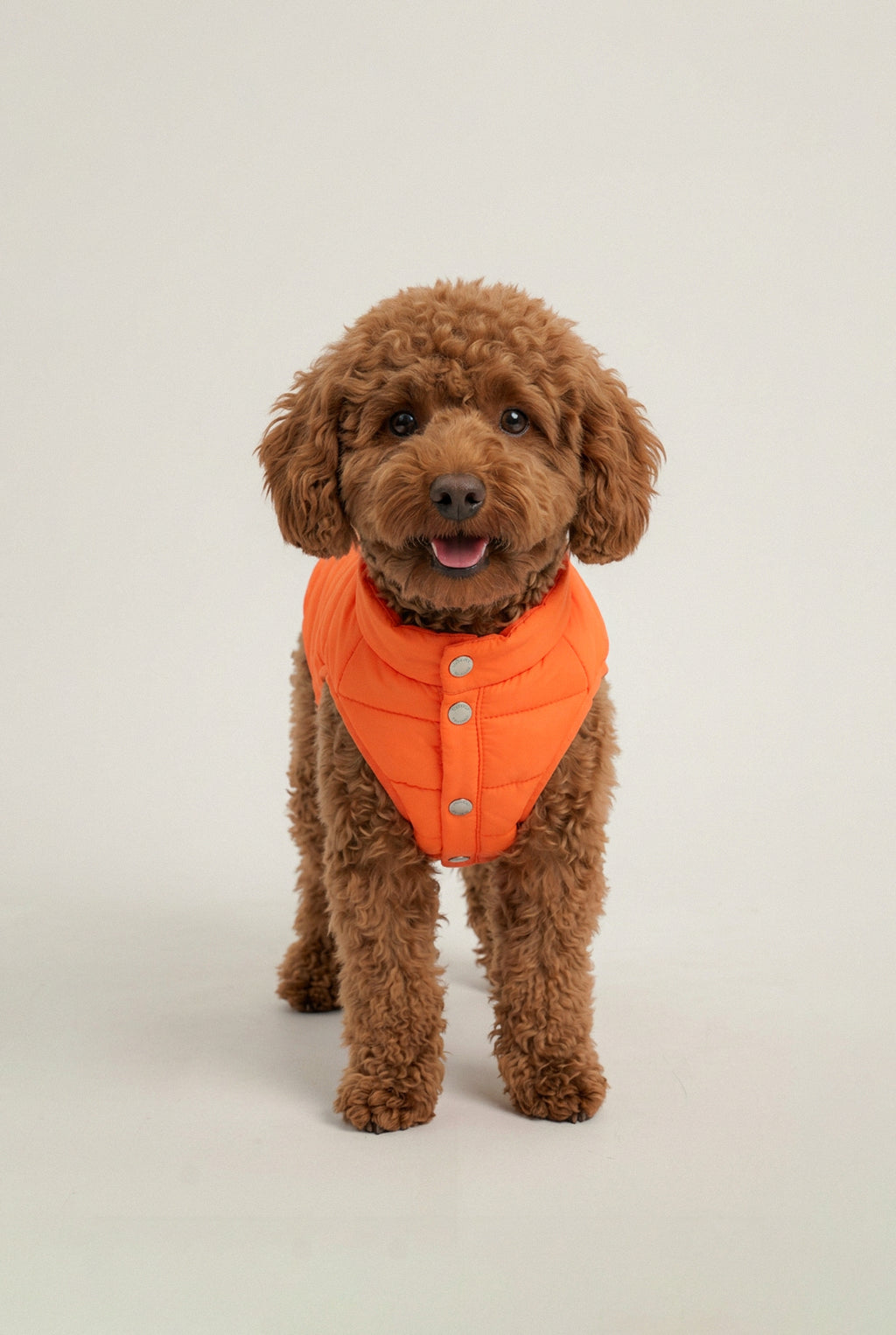 Bruno Classic Puffer Mont - Burnt Orange