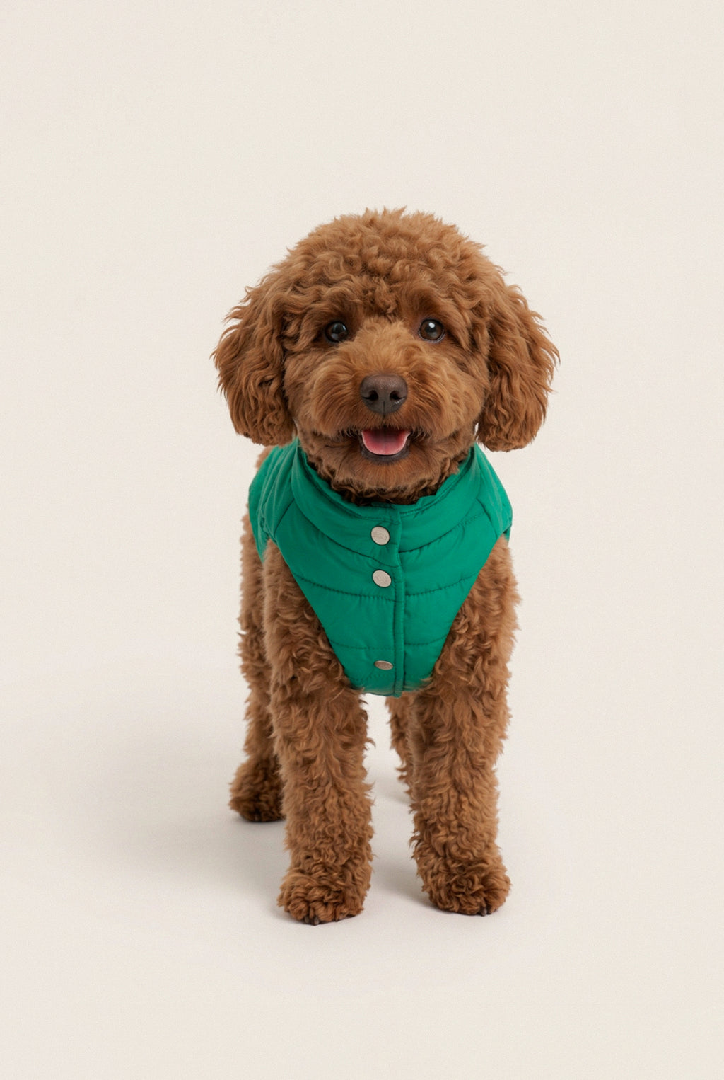 Puffer Vest - Green