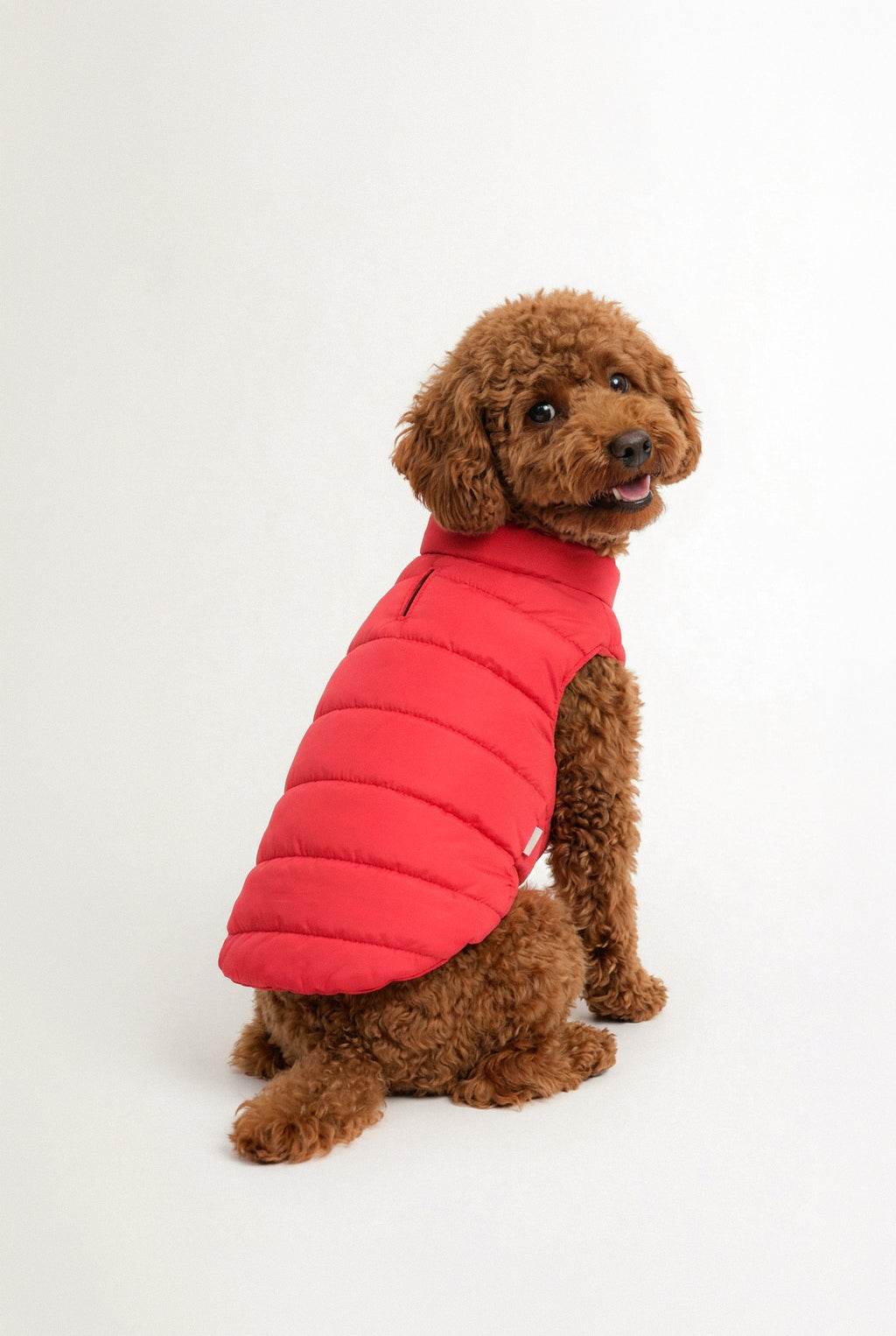 Bruno Classic Puffer Mont - Cherry Red