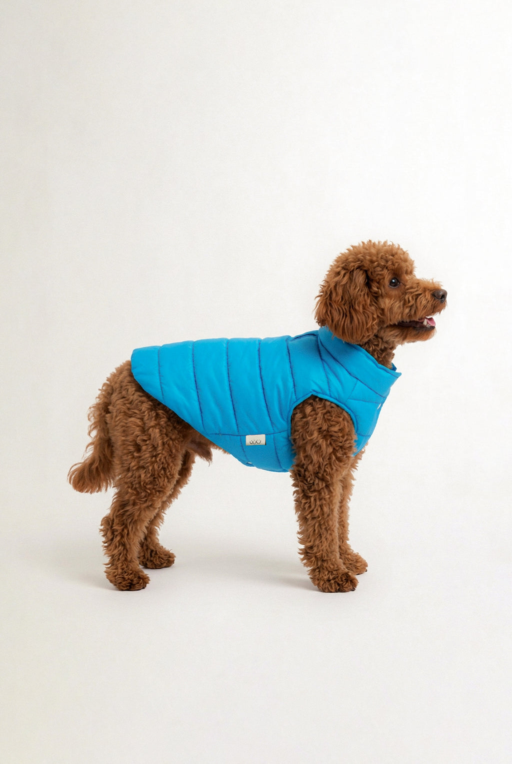Puffer Vest - Baby Blue