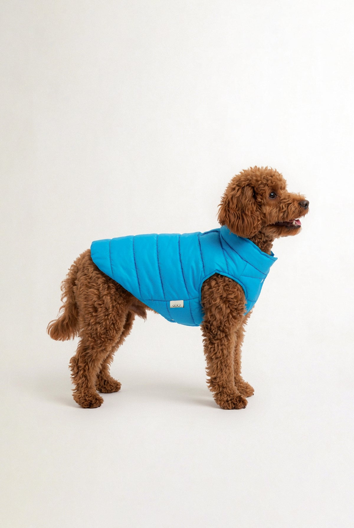 Bruno Classic Puffer Mont - Cloud Blue