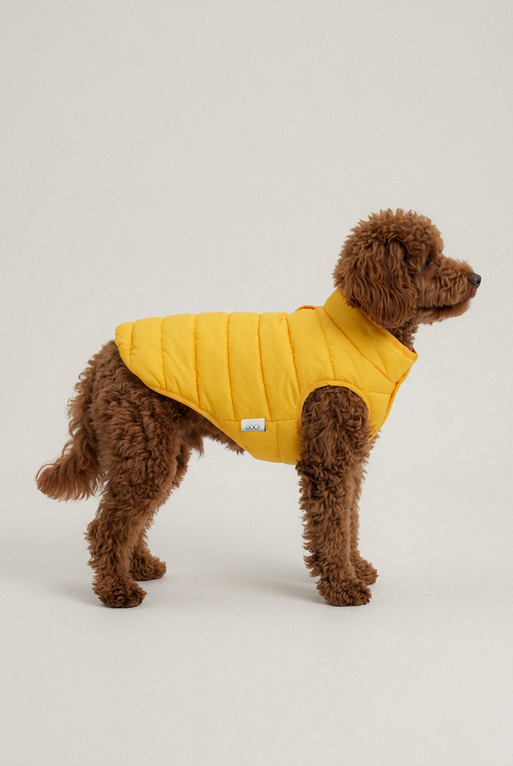 Bruno Classic Puffer Mont - Honey Yellow