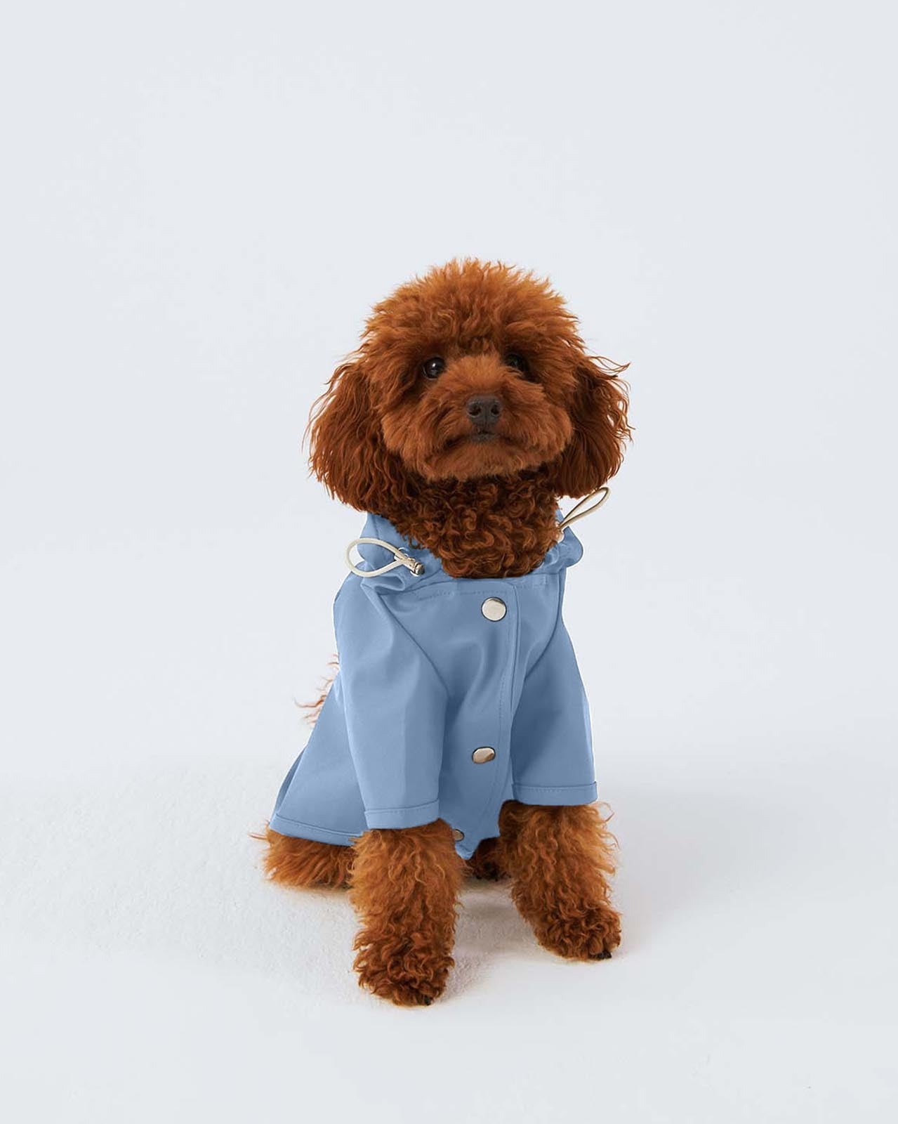 Dog Raincoat - Light Blue