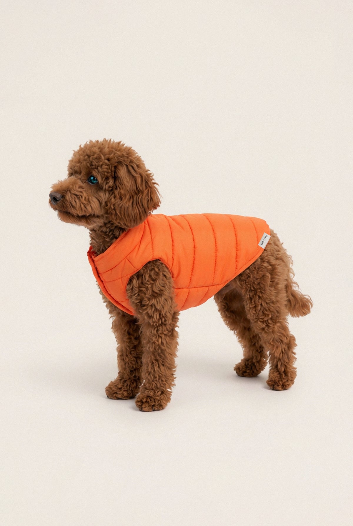 Puffer Vest - Sunny Yellow